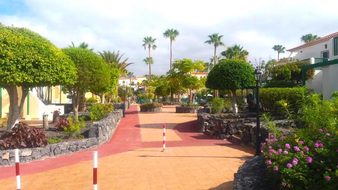 Tenerifehause ซานมิเกลเดียโบนา ภายนอก รูปภาพ